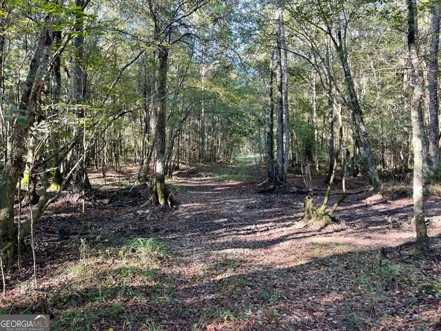 a view of outdoor space with deck and trees