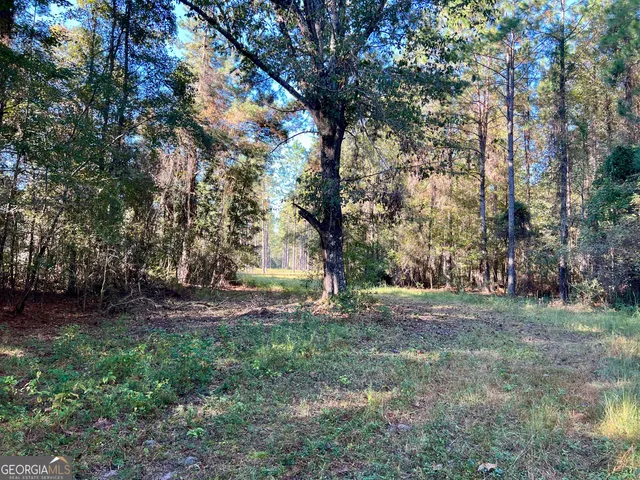 a backyard of a house with swimming pool and large trees