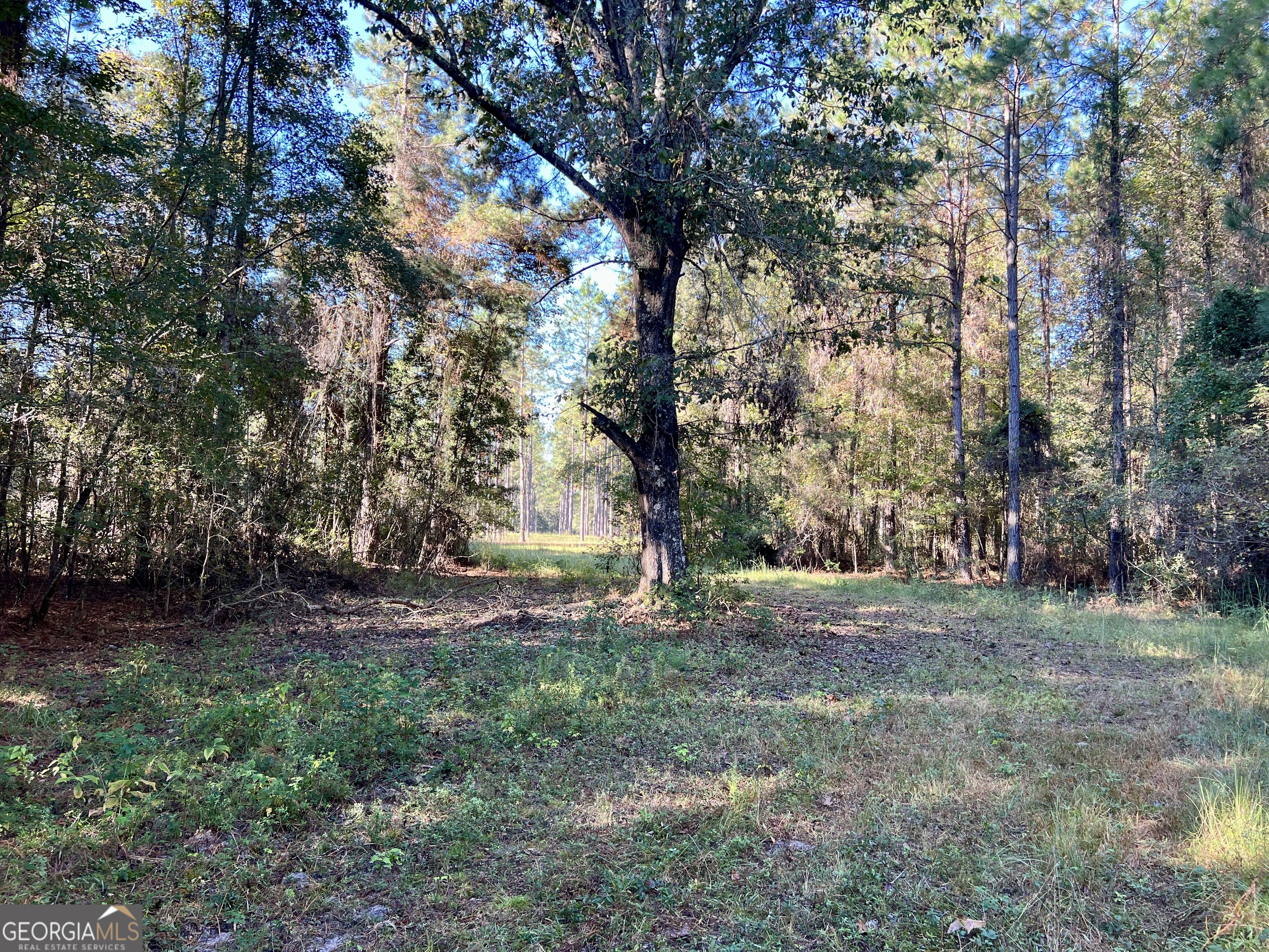 0 Lower River Road Eastman, GA 31023 - Photo 48 of 56 a fire hydrant in the middle of a field