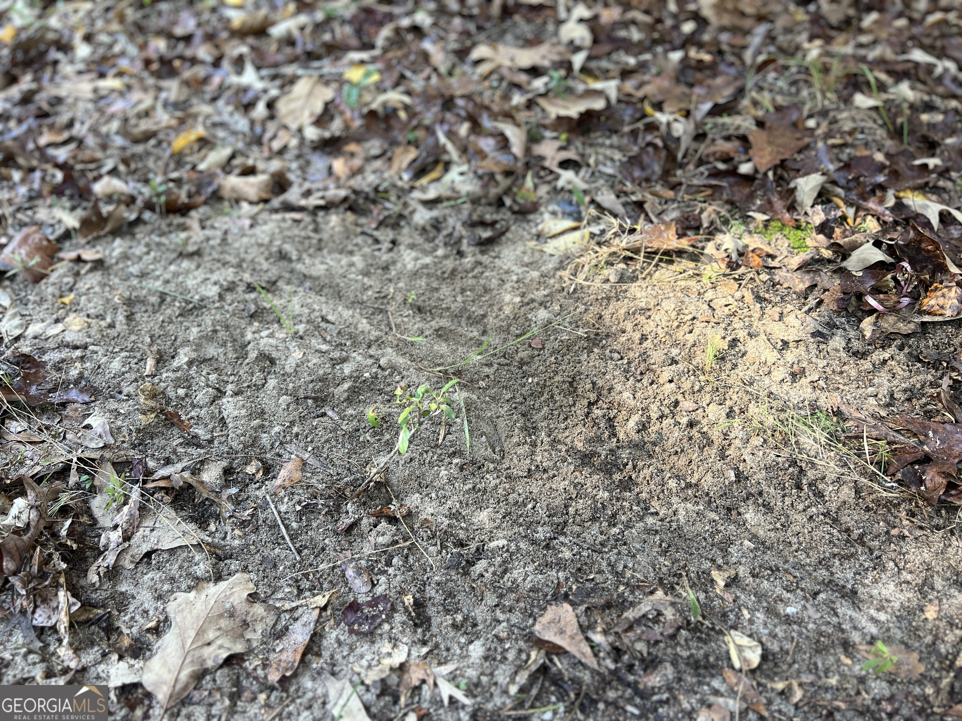 0 Lower River Road Eastman, GA 31023 - Photo 5 of 56