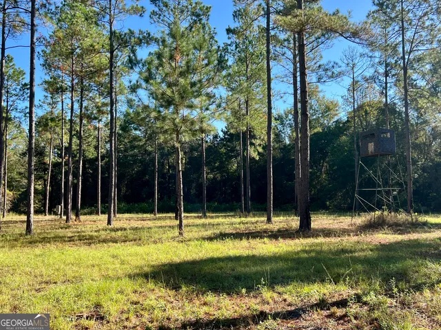 $690,000 | 0 Lower River Road, Eastman, GA 31023