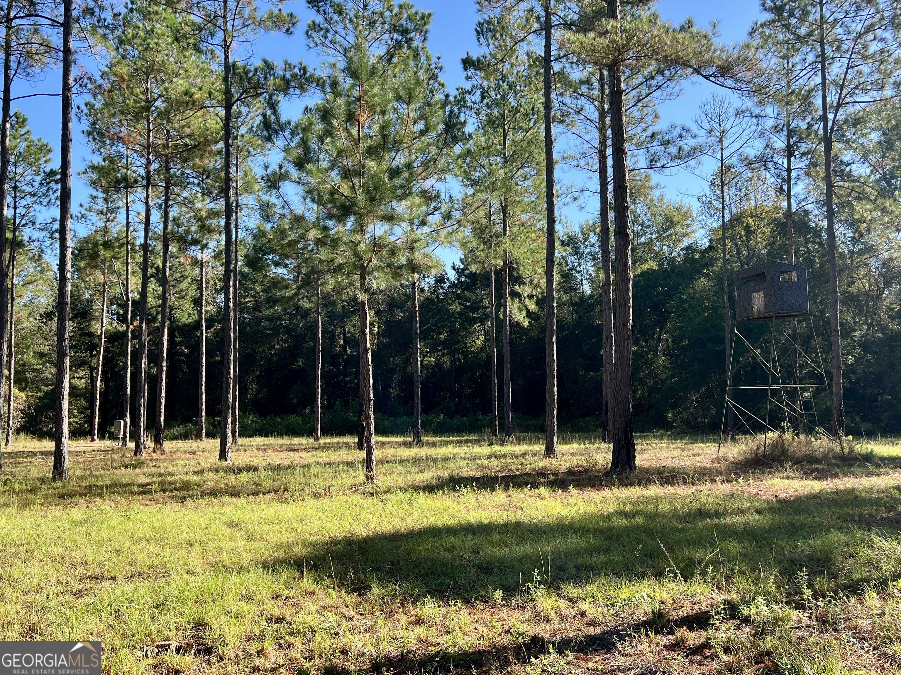 0 Lower River Road Eastman, GA 31023 - Photo 53 of 56 a backyard of a house with swimming pool and large trees