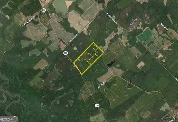 $690,000 | 0 Lower River Road, Eastman, GA 31023