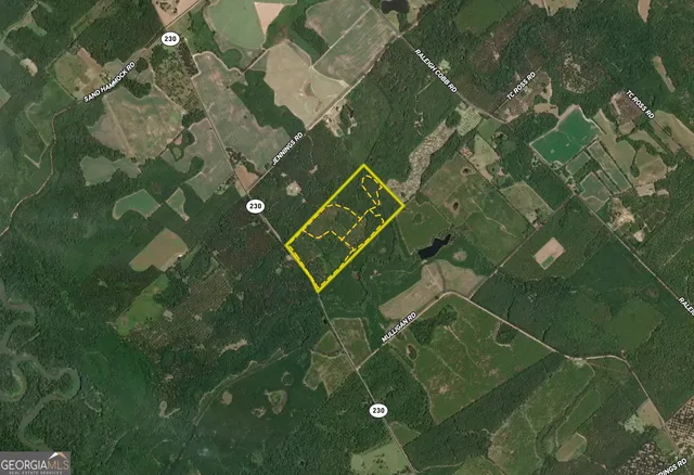 $690,000 | 0 Lower River Road, Eastman, GA 31023