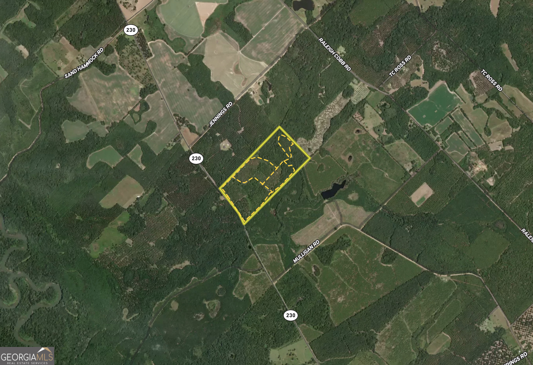 0 Lower River Road Eastman, GA 31023 - Photo 54 of 56 view of a house