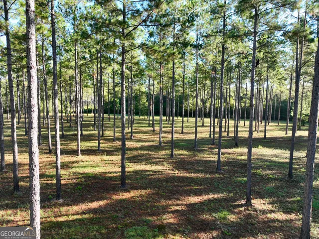 a view of a yard with a tree