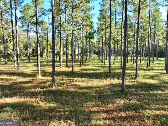 a view of outdoor space with street view