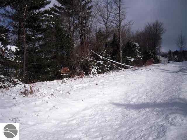 6402 Ingersoll Road Southwest Fife Lake, MI 49633 - Photo 15 of 24 1733609-14.JPG