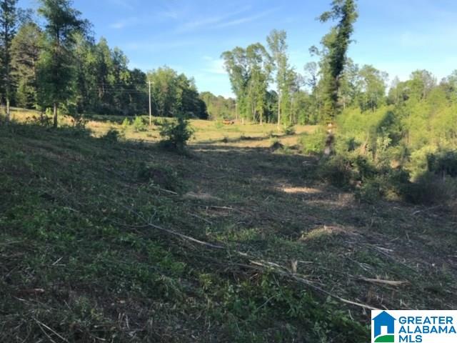 29 County Road, Unit 32 100 Thorsby, AL 35171 - Photo 1 of 2