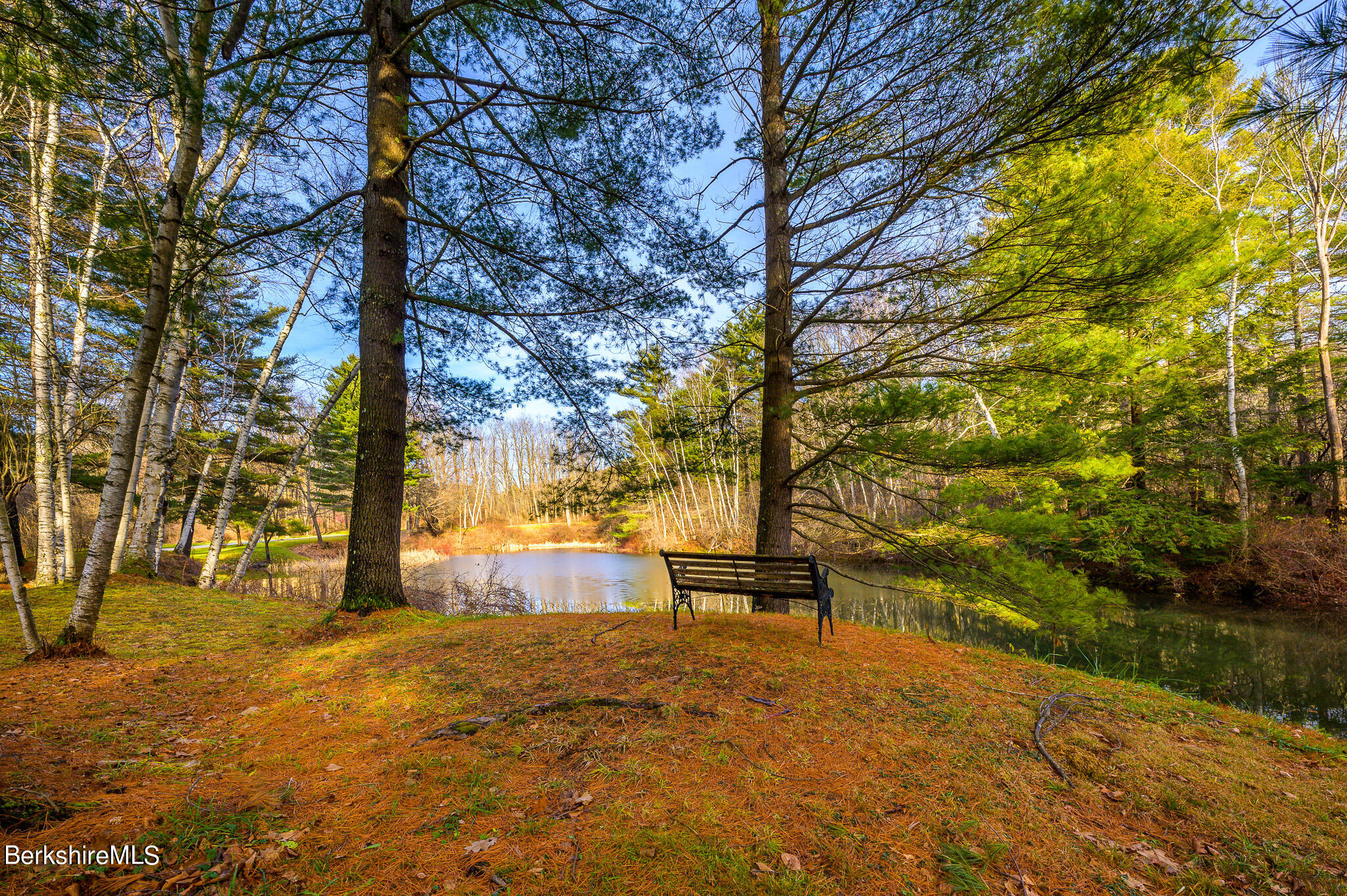 462 E Road Richmond, MA 01254 - Photo 43 of 49 a view of outdoor space with garden