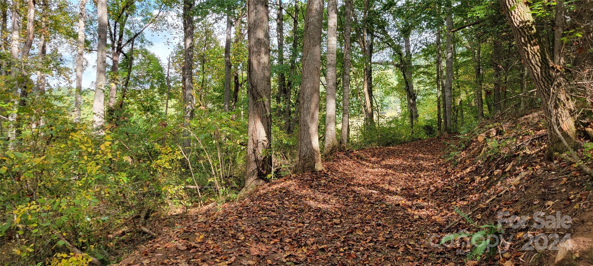 0 Dodder Lane Cullowhee, NC 28723 - Photo 5 of 11 a backyard of a house with lots of green space