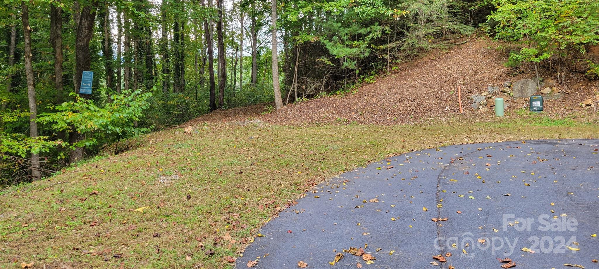 0 Dodder Lane Cullowhee, NC 28723 - Photo 7 of 11 a view of a beach with a yard