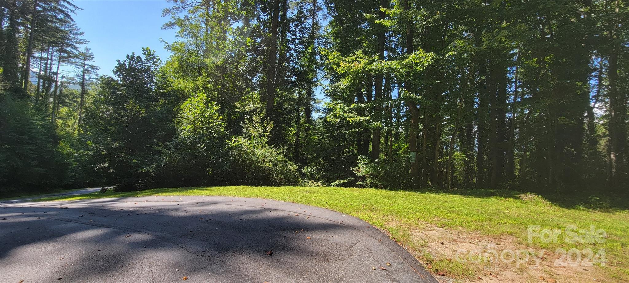 0 Dodder Lane Cullowhee, NC 28723 - Photo 8 of 11 a view of a yard with a house