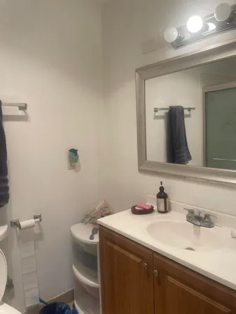 a bathroom with a sink and a toilet