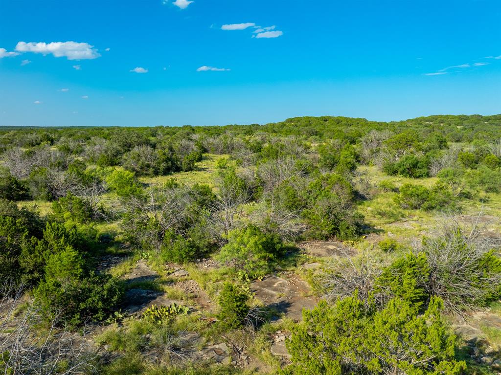 Tbd Cr 224 Brookesmith, TX 76827 - Photo 4 of 25