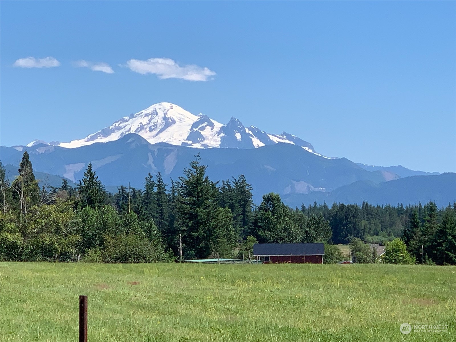 6283 Noon Road Everson, WA 98247 - Photo 2 of 40 a view of a lush green hillside and a houses