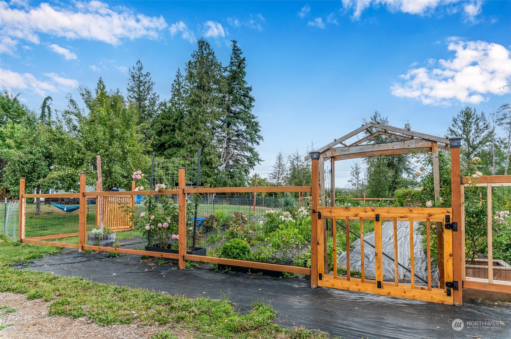 6283 Noon Road Everson, WA 98247 - Photo 35 of 40 a view of a house with a yard
