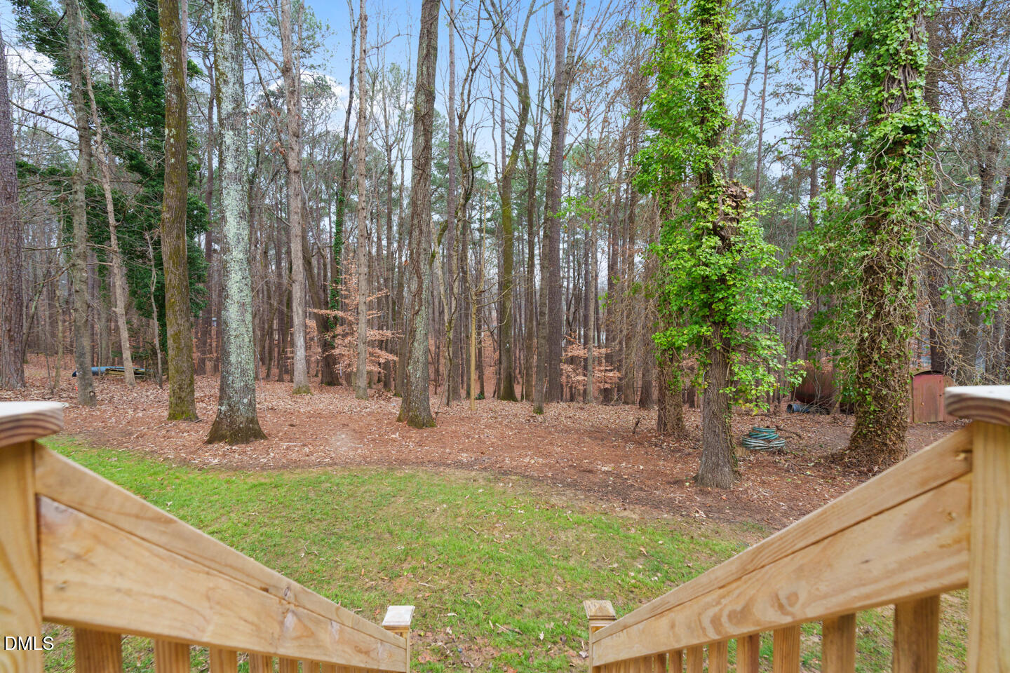 5425 Live Oak Trail Raleigh, NC 27613 - Photo 18 of 64 5425 Live Oak-Low Resolution-17