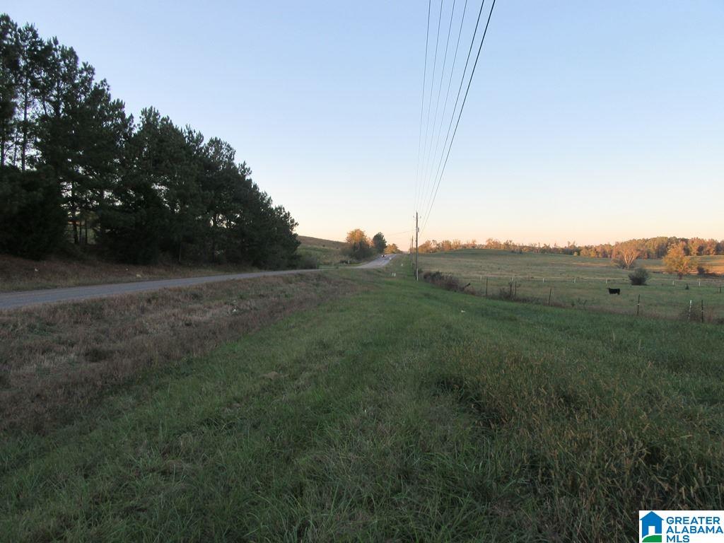 0 Eastaboga Road, Unit 1 Talladega, AL 35160 - Photo 30 of 30