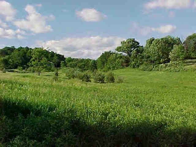 555 Overlook Road Copake, NY 12529 - Photo 1 of 4 Primary Photo