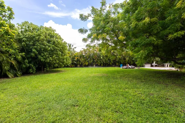 a view of a field of grass and trees