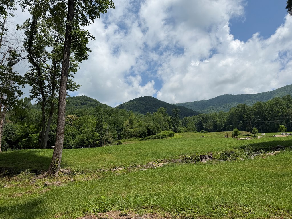 1446 Muskrat Creek Road Hayesville, NC 28904 - Photo 72 of 108