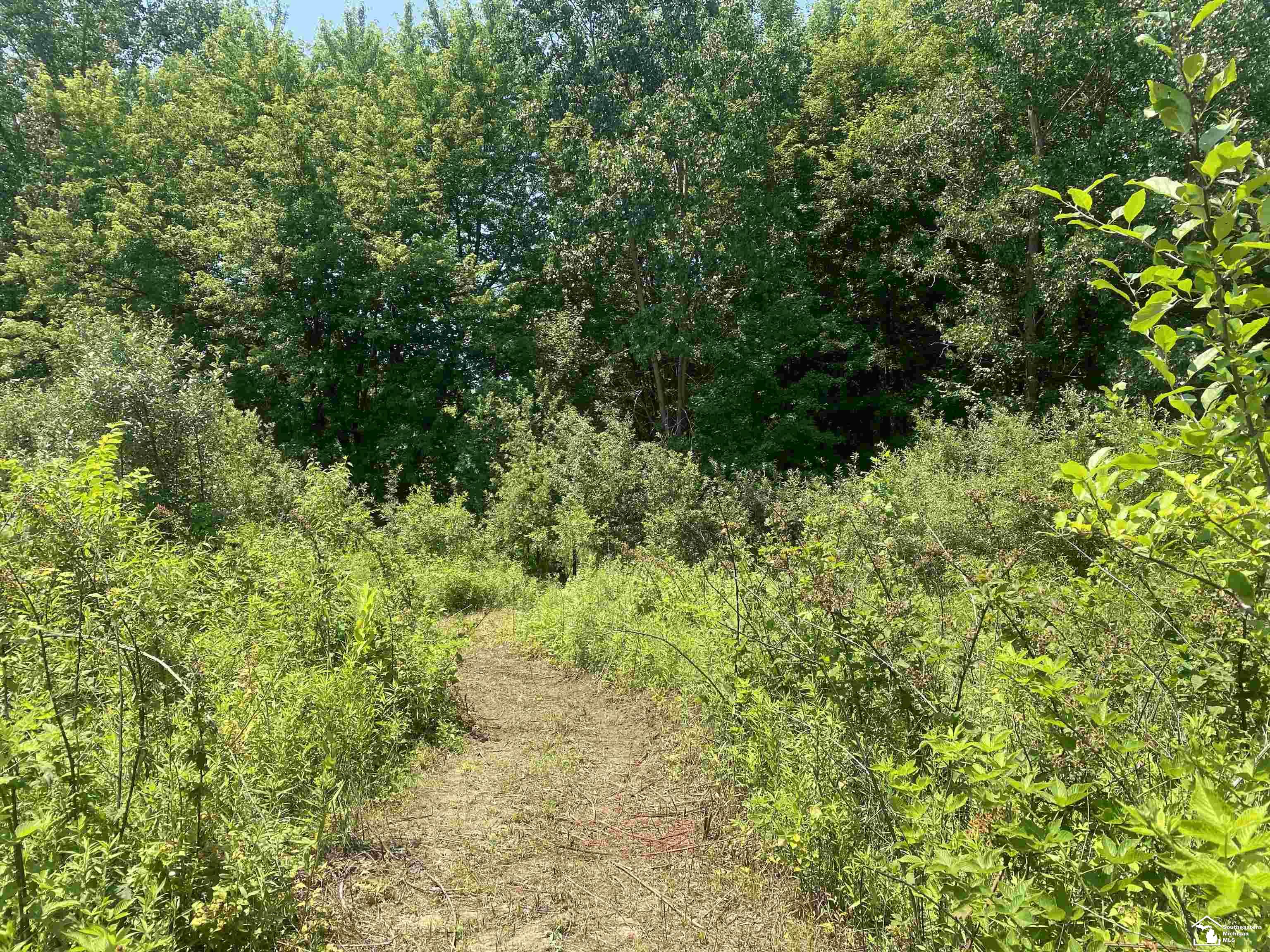 2 Morocco Road Temperance, MI 48182 - Photo 4 of 10