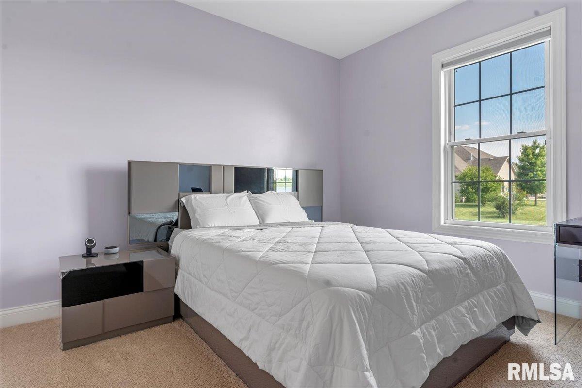 2804 Castlerock Ridge Springfield, IL 62711 - Photo 26 of 43