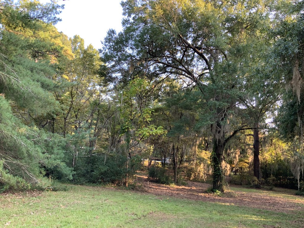 1683 Scott Lake Road, Unit LOT#1 Summerton, SC 29148 - Photo 4 of 12 Gallery Image 4