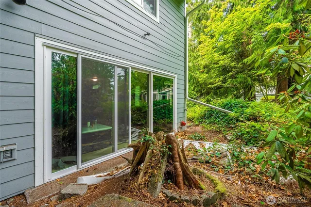 a view of a backyard