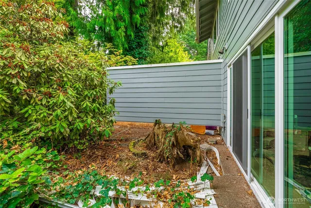 a view of a backyard with plants