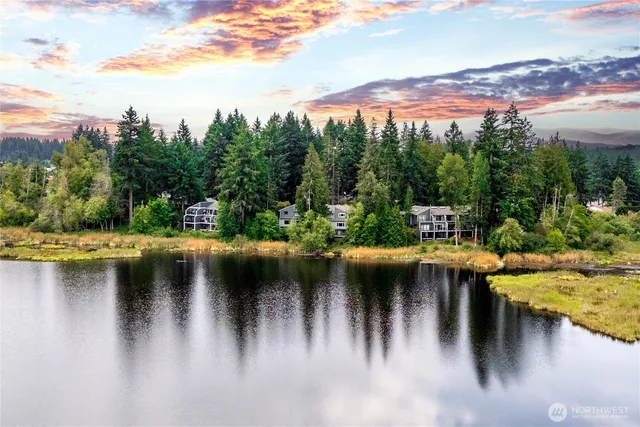 a view of river covered with trees