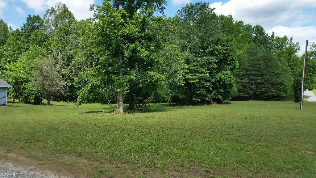 310 Cedar Ridge Road Randleman, NC 27317 - Photo 3 of 20 Gallery Image 3