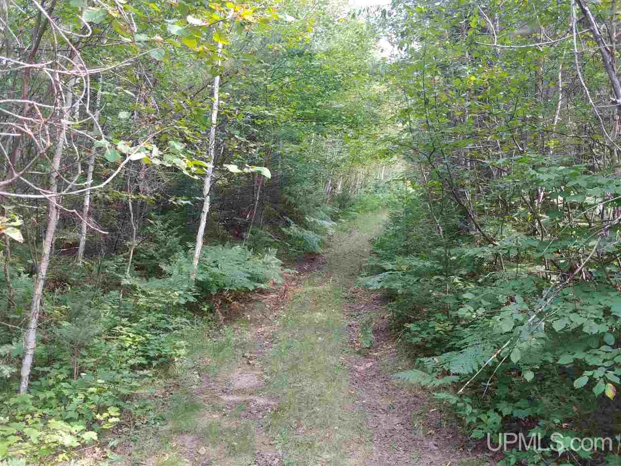 42-acres 42-acres Co Road Ishpeming, MI 49849 - Photo 5 of 16
