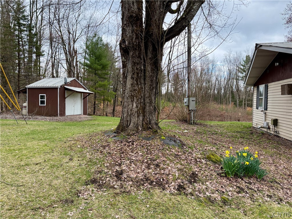 6918 Chases Lake Road Watson, NY 13343 - Photo 34 of 50 Side Yard