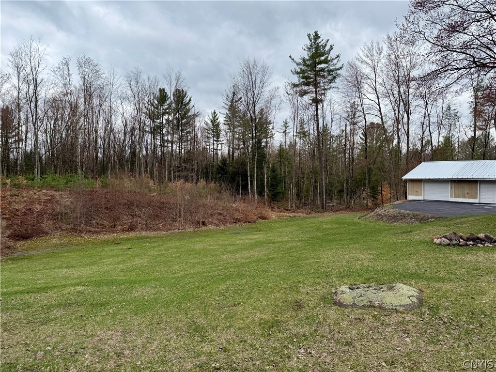 6918 Chases Lake Road Watson, NY 13343 - Photo 40 of 50 Back Yard