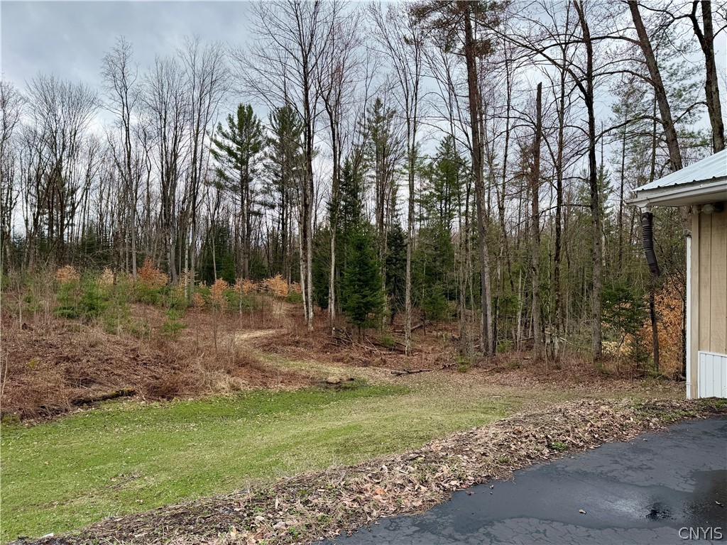 6918 Chases Lake Road Watson, NY 13343 - Photo 41 of 50 Back yard showing trails into woods