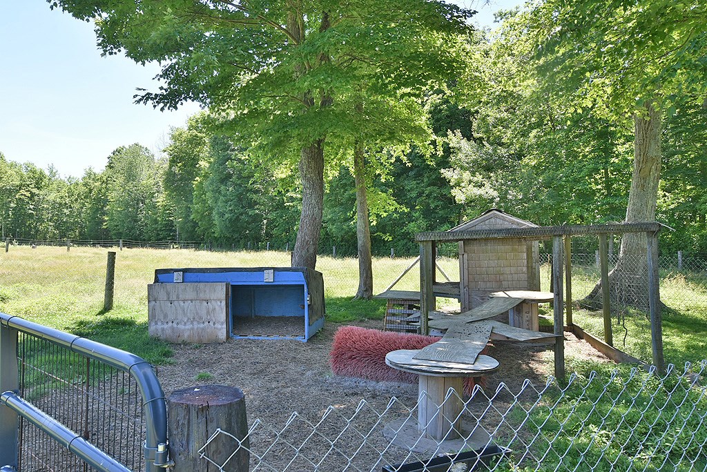 120A Plain Woods Road Foster, RI 02825 - Photo 32 of 35