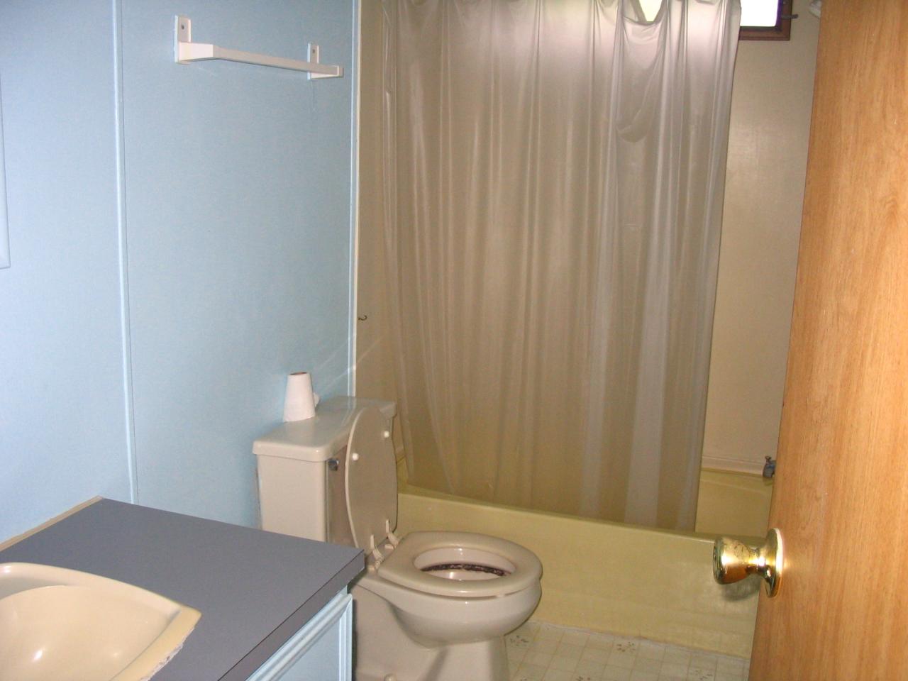 204 Bentwood Drive Blue Ridge, VA 24064 - Photo 4 of 7 a bathroom with a sink a toilet and shower curtain