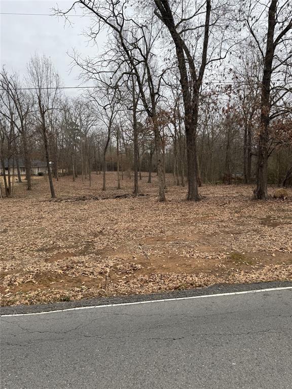 277 Old Palmetto Road Benton, LA 71006 - Photo 3 of 4 a backyard of a house with lots of trees