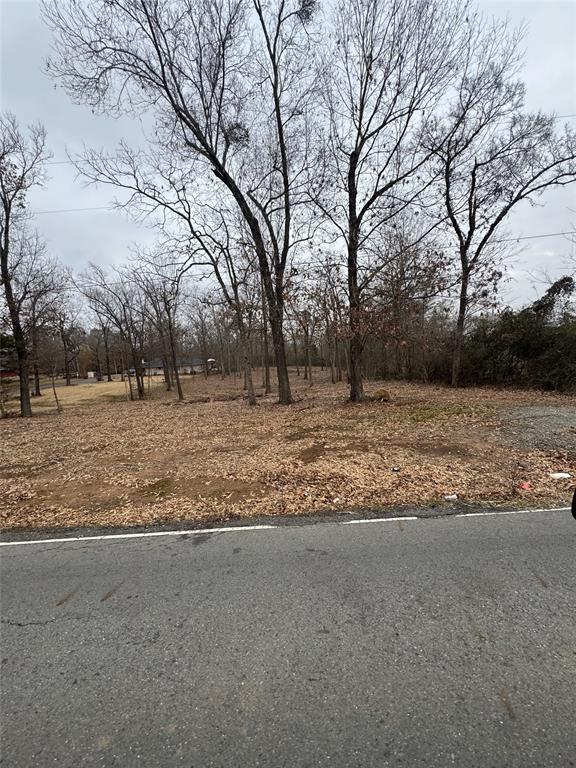 277 Old Palmetto Road Benton, LA 71006 - Photo 4 of 4 a view of empty room with large trees