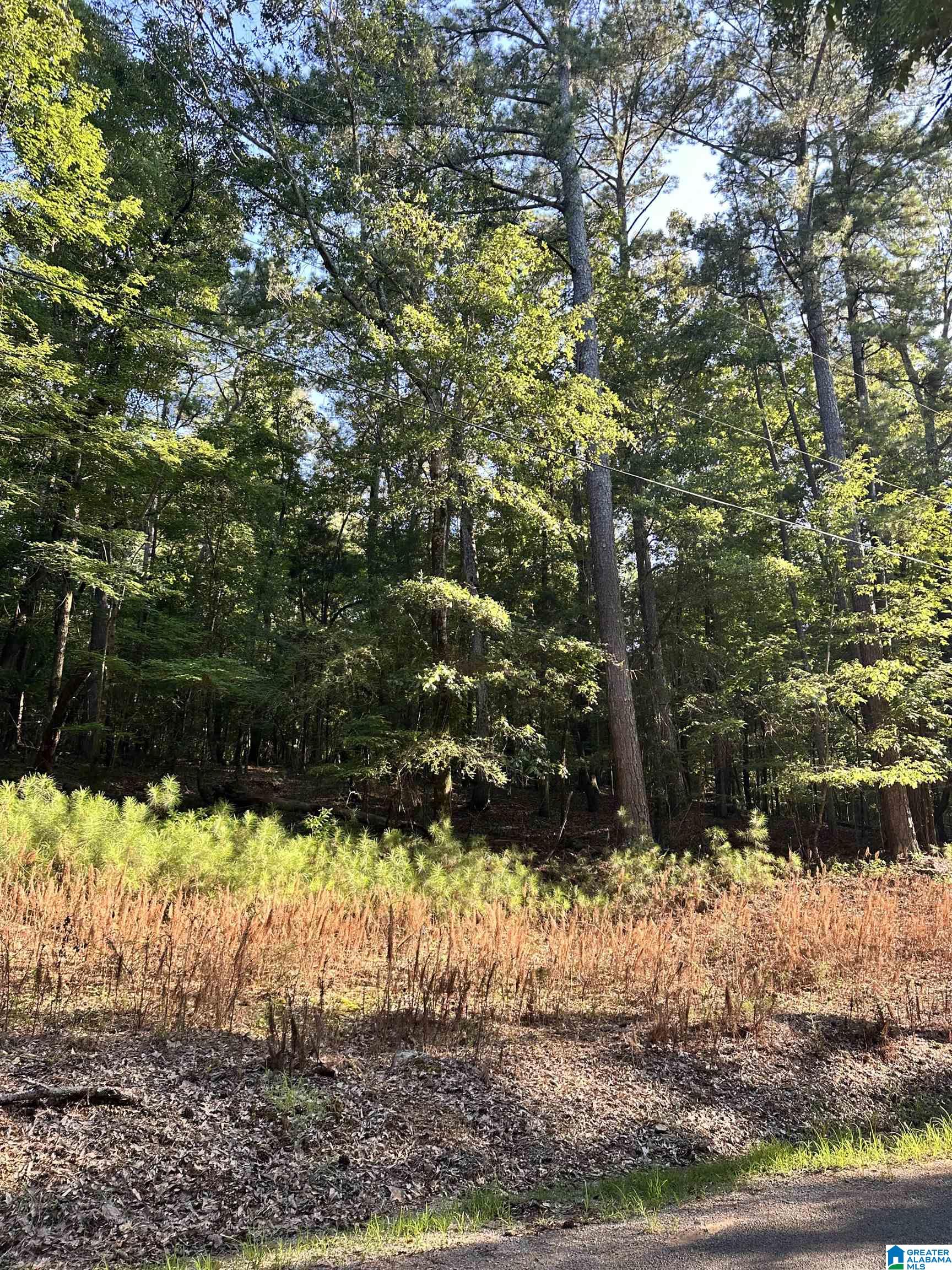 500 Black Acres Road, Unit 27 Cropwell, AL 35054 - Photo 1 of 25
