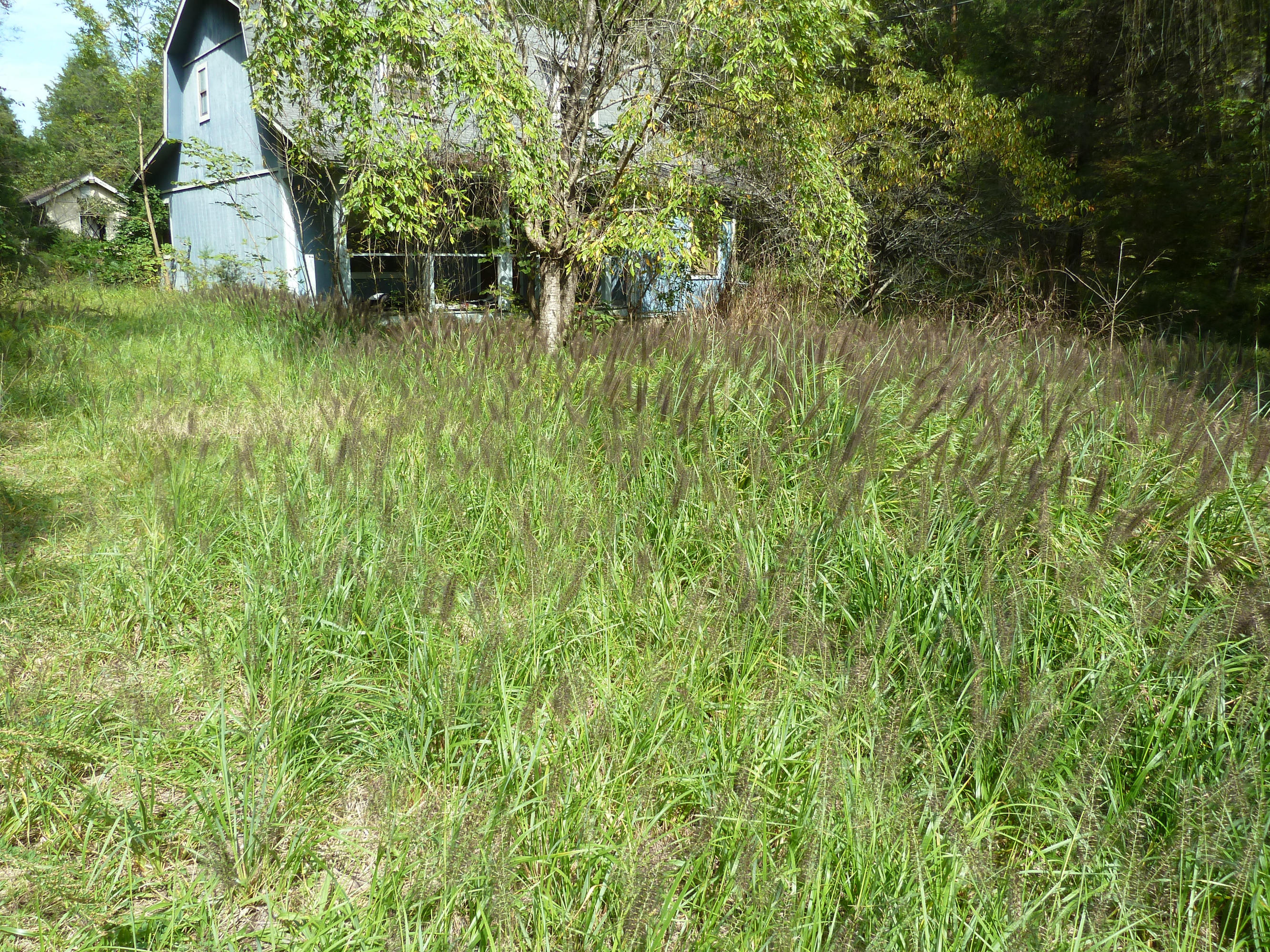 1834 Chapel Road Sevierville, TN 37876 - Photo 5 of 9 P1090721