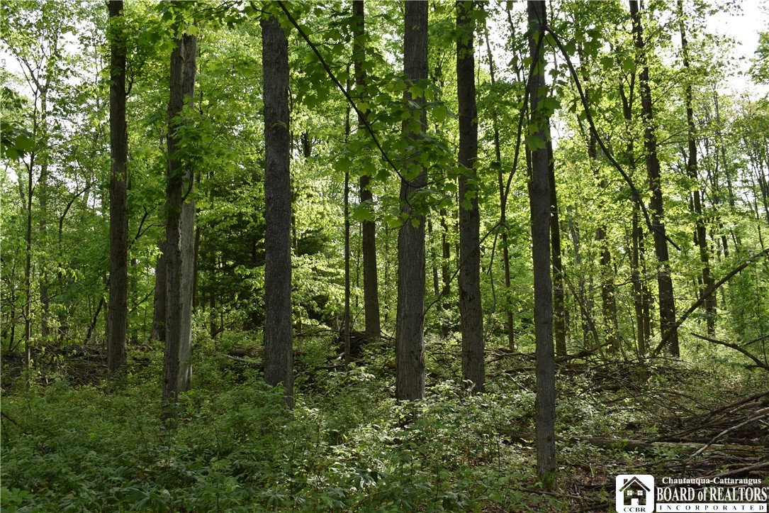 10133 Edward Corners Road Perrysburg, NY 14129 - Photo 18 of 28
