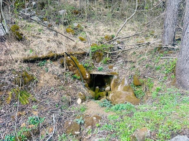 8272 Anglers Way Road Duffield, VA 24244 - Photo 26 of 27 Artisian well