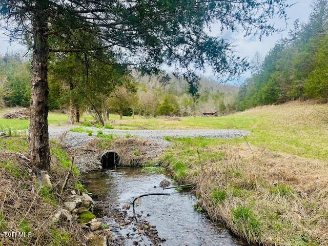 8272 Anglers Way Road Duffield, VA 24244 - Photo 8 of 27 IMG_5346