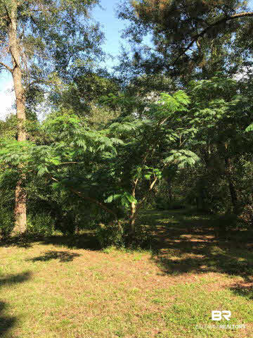 24690 Powell Lane Loxley, AL 36551 - Photo 35 of 39