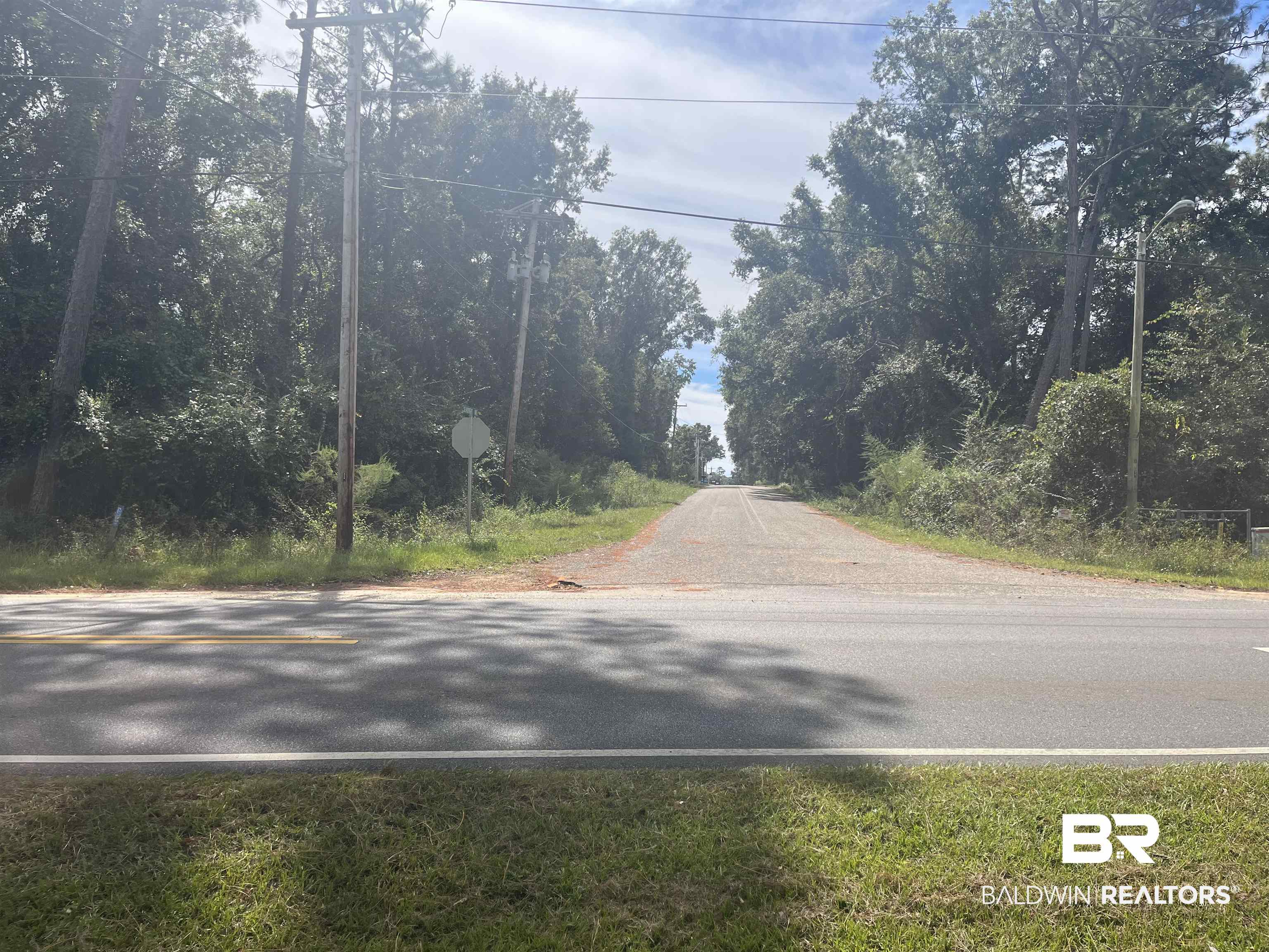 24875 Miflin Road Elberta, AL 36530 - Photo 5 of 5 South View Miflin Rd