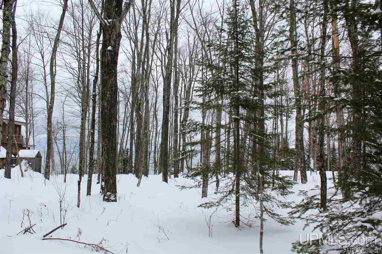 Tbd Des Rochers Road, Unit LOT 19 Pelkie, MI 49958 - Photo 9 of 33