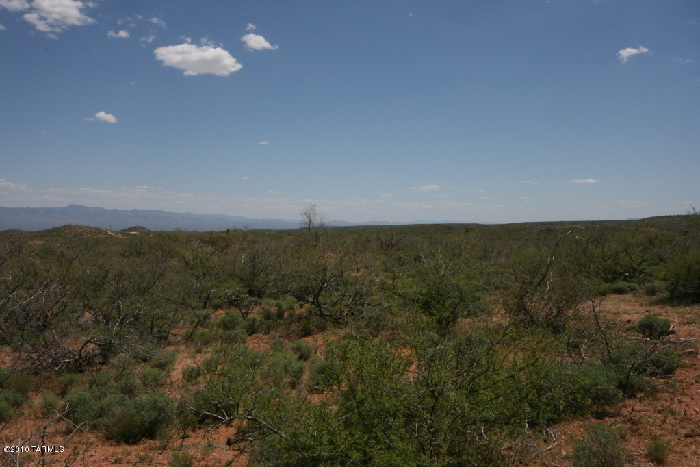 81483 East Goldbug Road Oracle, AZ 85623 - Photo 5 of 12